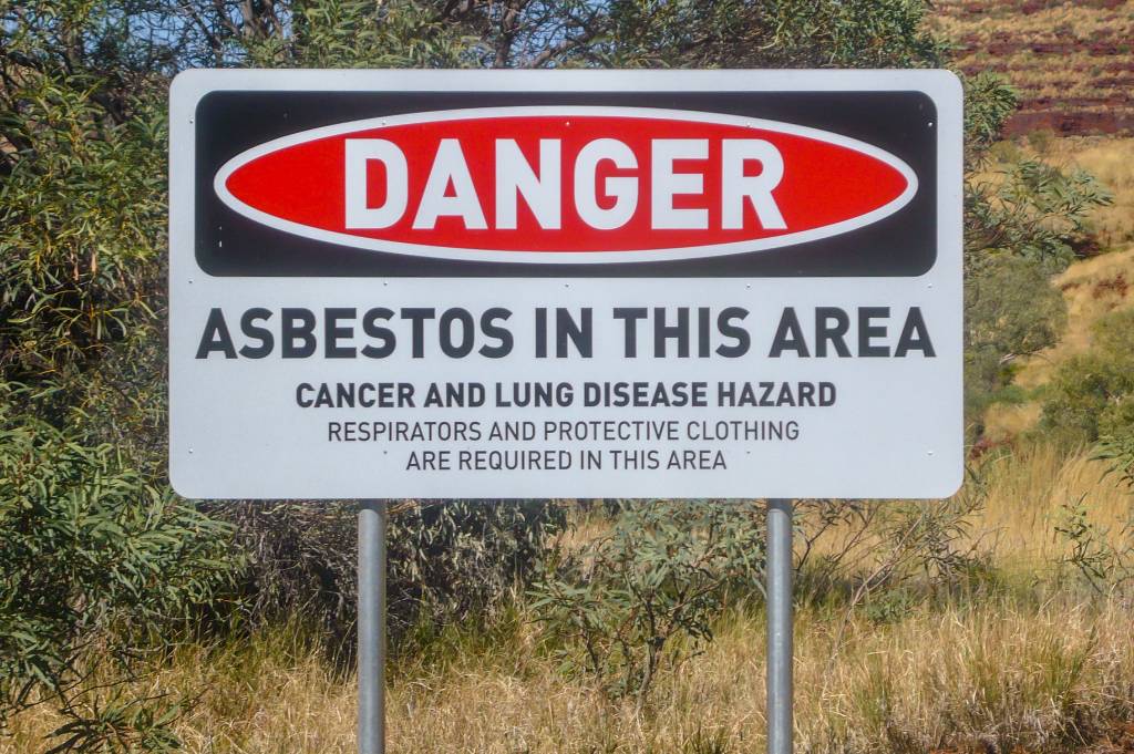 mesothelioma lung cancer